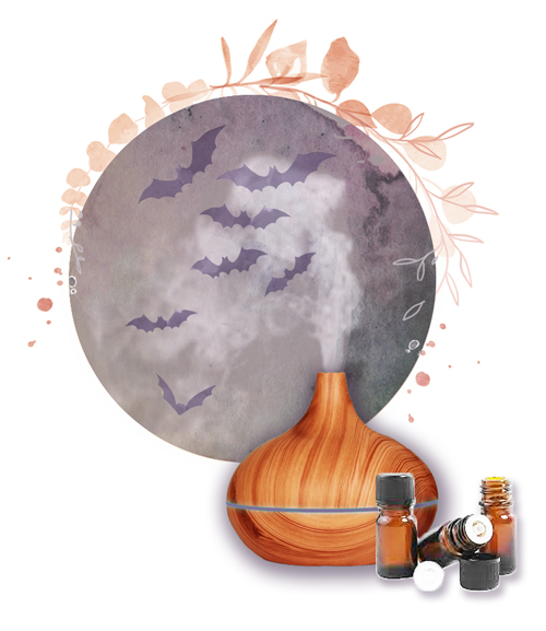 Lotions & Potions Body Bliss